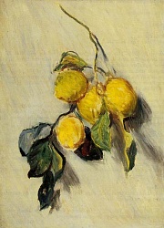 Branch of Lemons,1883